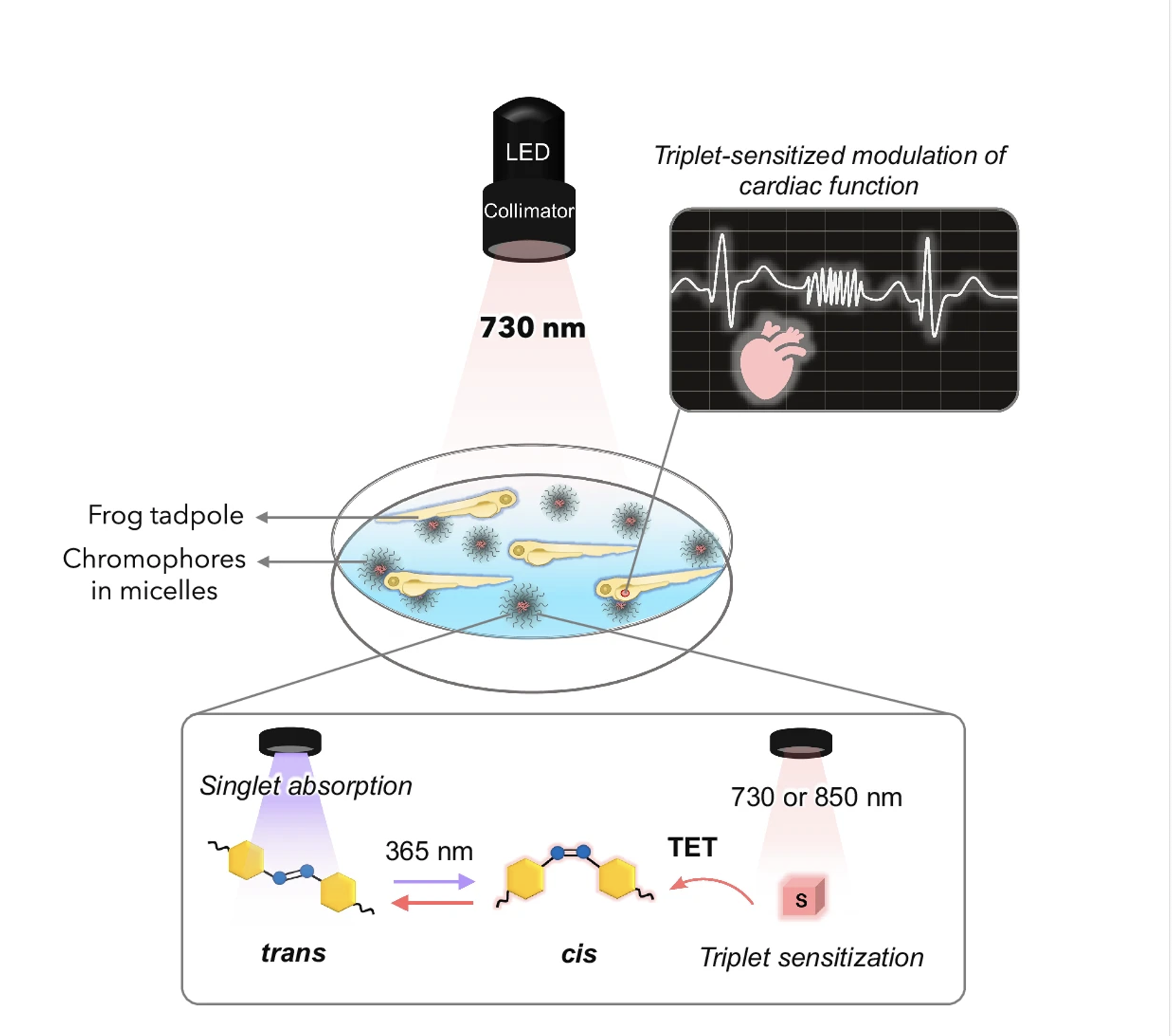 Screenshot 2025 09 05 at 16.42.04