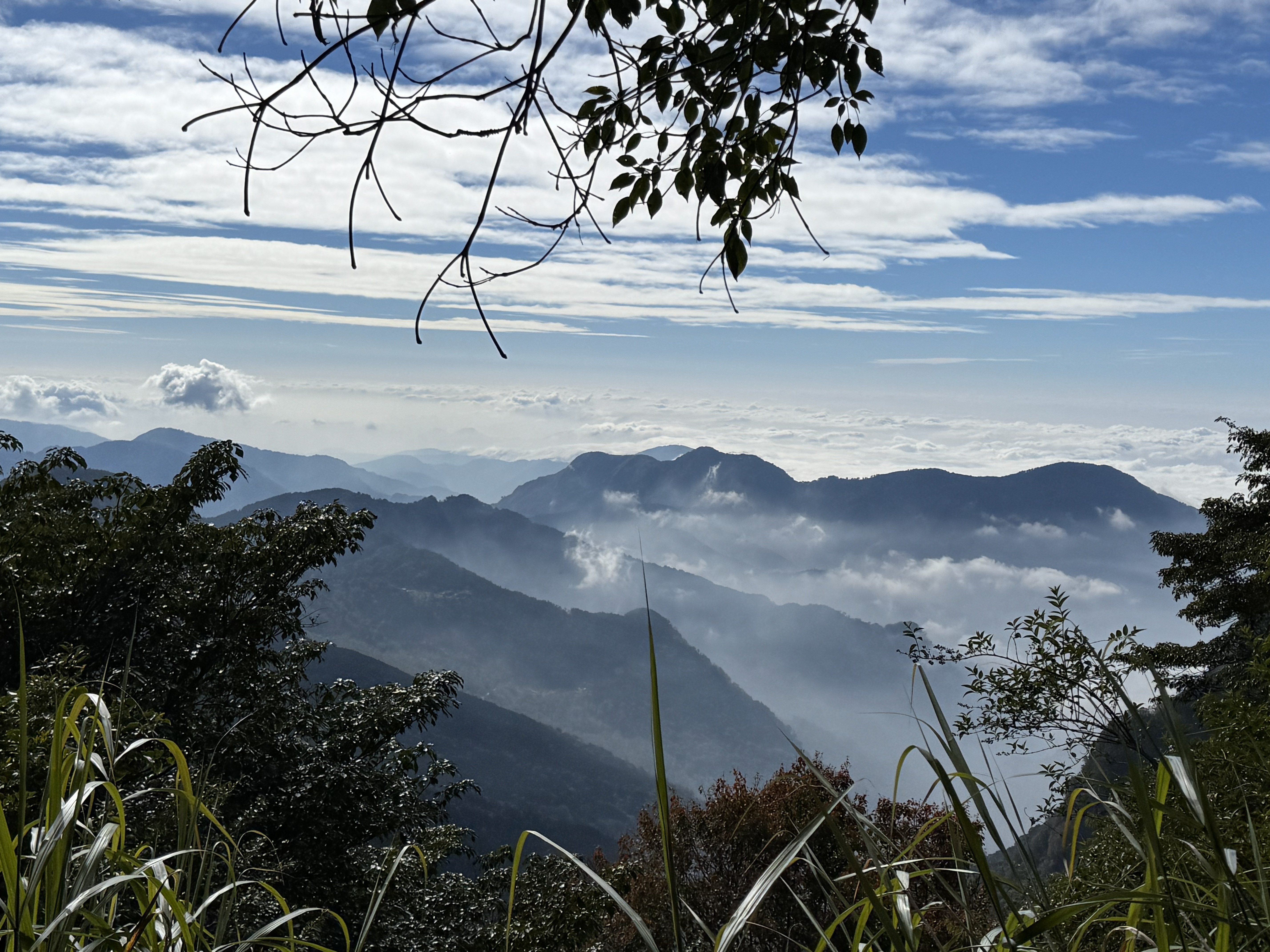 Alishan nacionaliniame parke 2